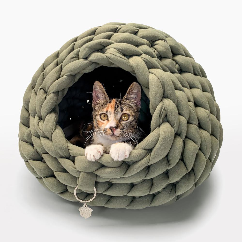 Cocoon BINNI