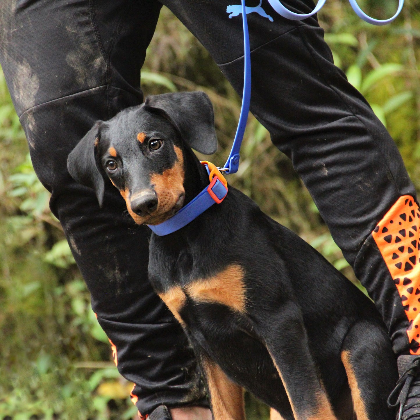 Collar impermeable Azul- Naranja