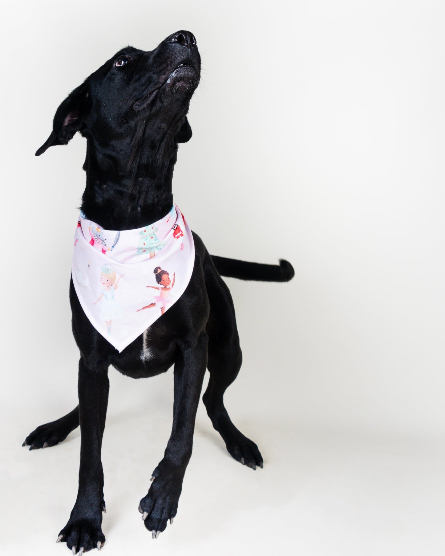 Luna Vekopets