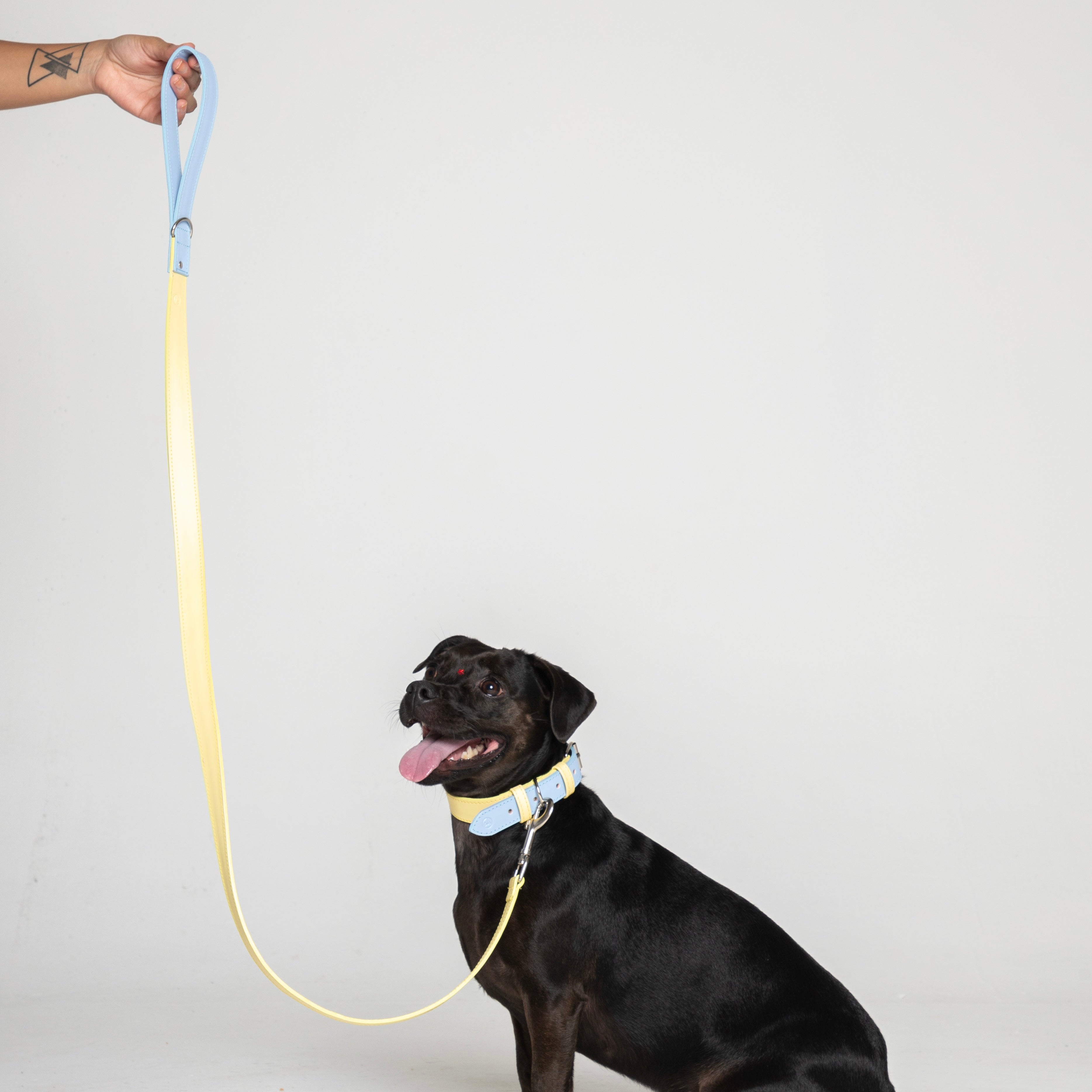 Correas cuero vegano