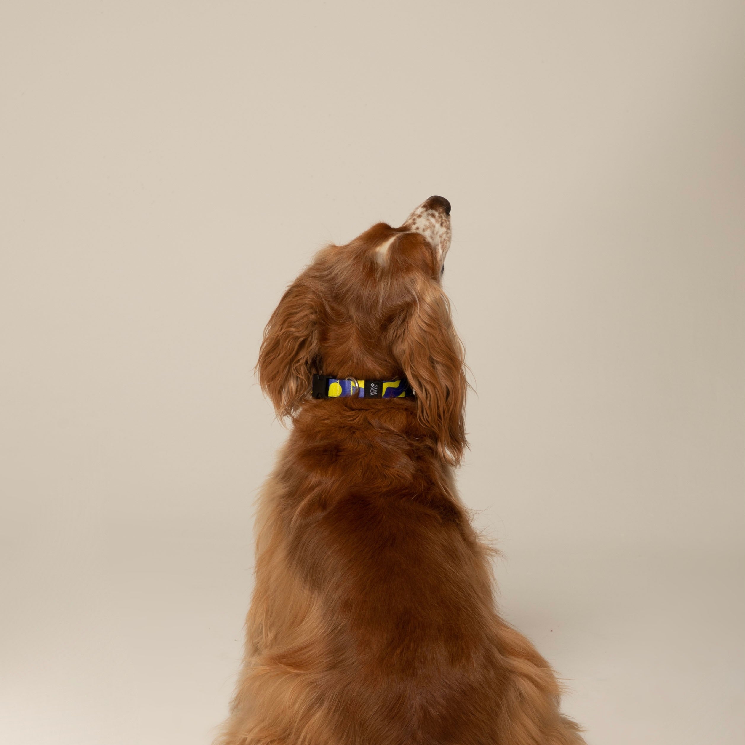 Collares-estampados Vekopets