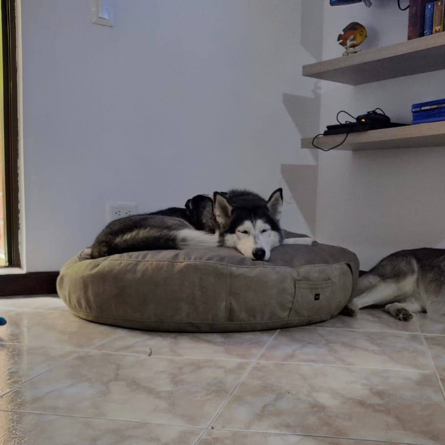 Cama VENUS - Vekopets