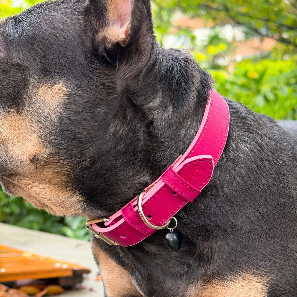 Collar cuero vegano | Velvet Wine