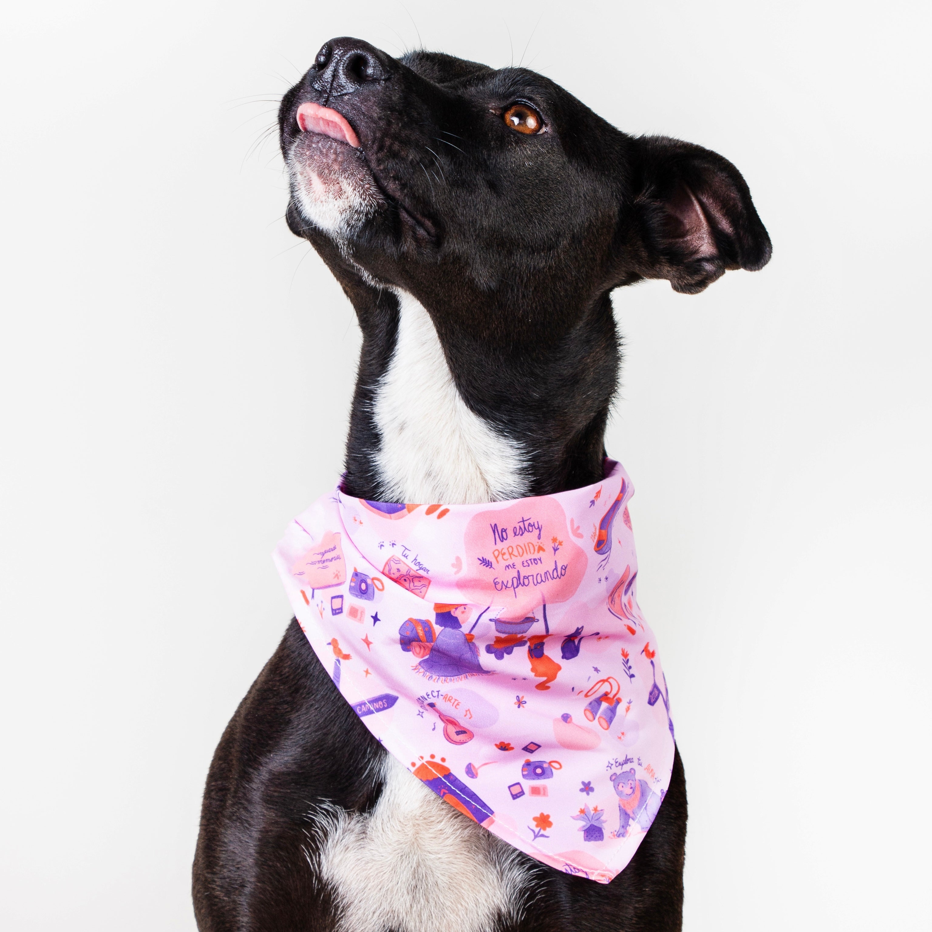 Pañoleta Aventura Girl