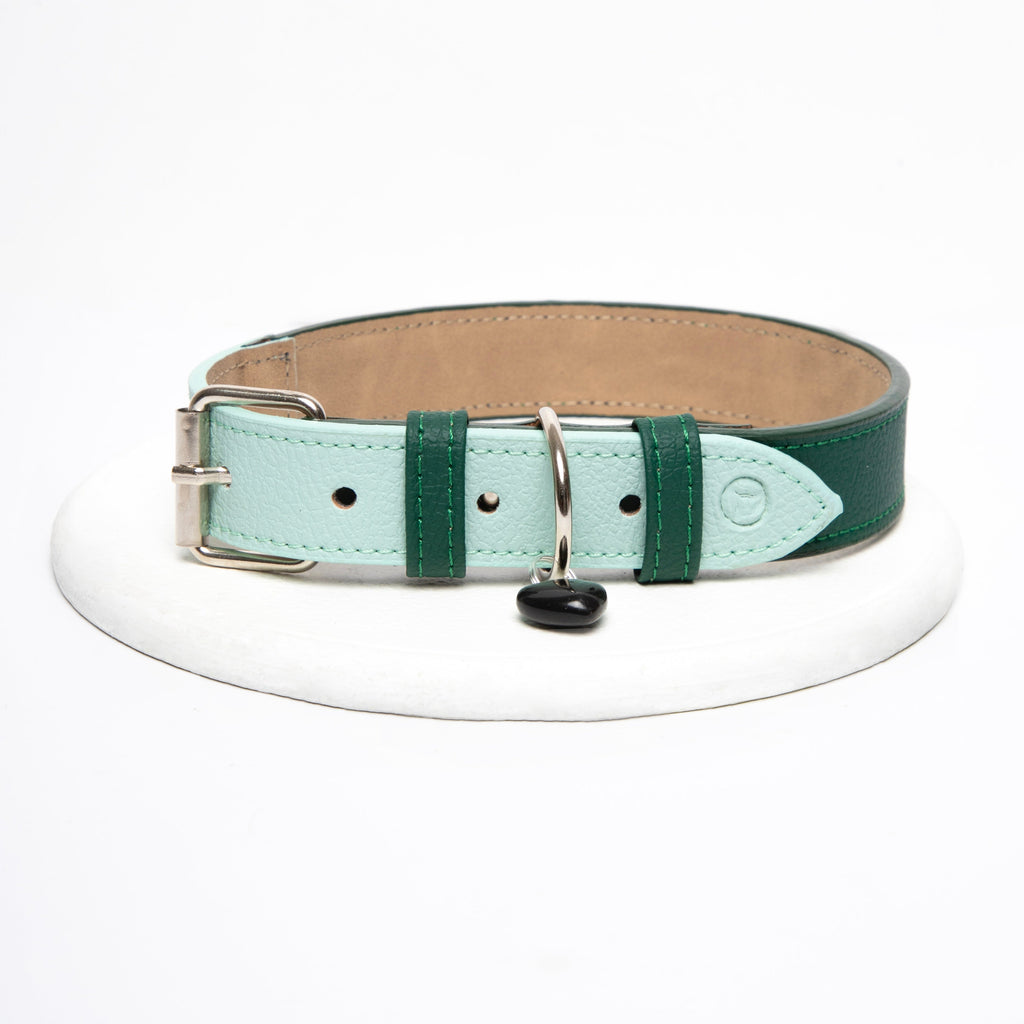 Collar Verde- menta Vekopets