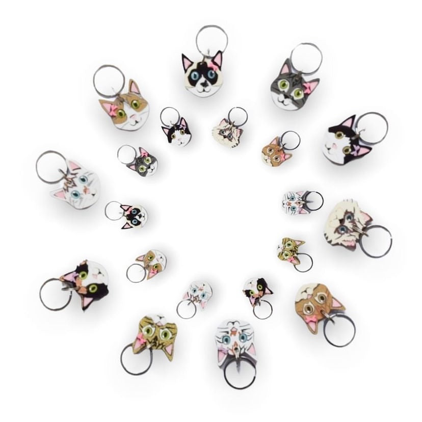 Placa personalizada Vekopets