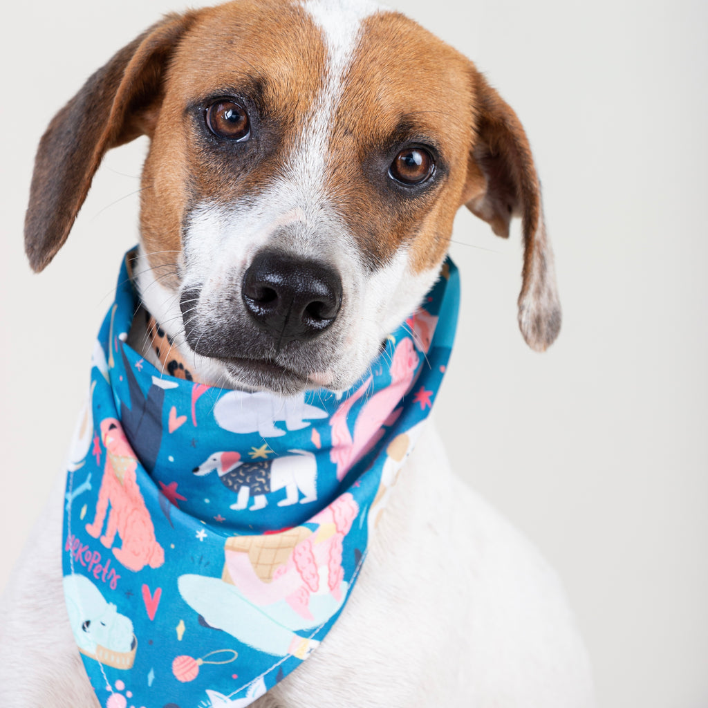 Pañoleta Alma gemela Boy