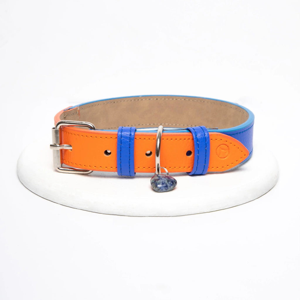 Collar Azul electric- Naranja Vekopets