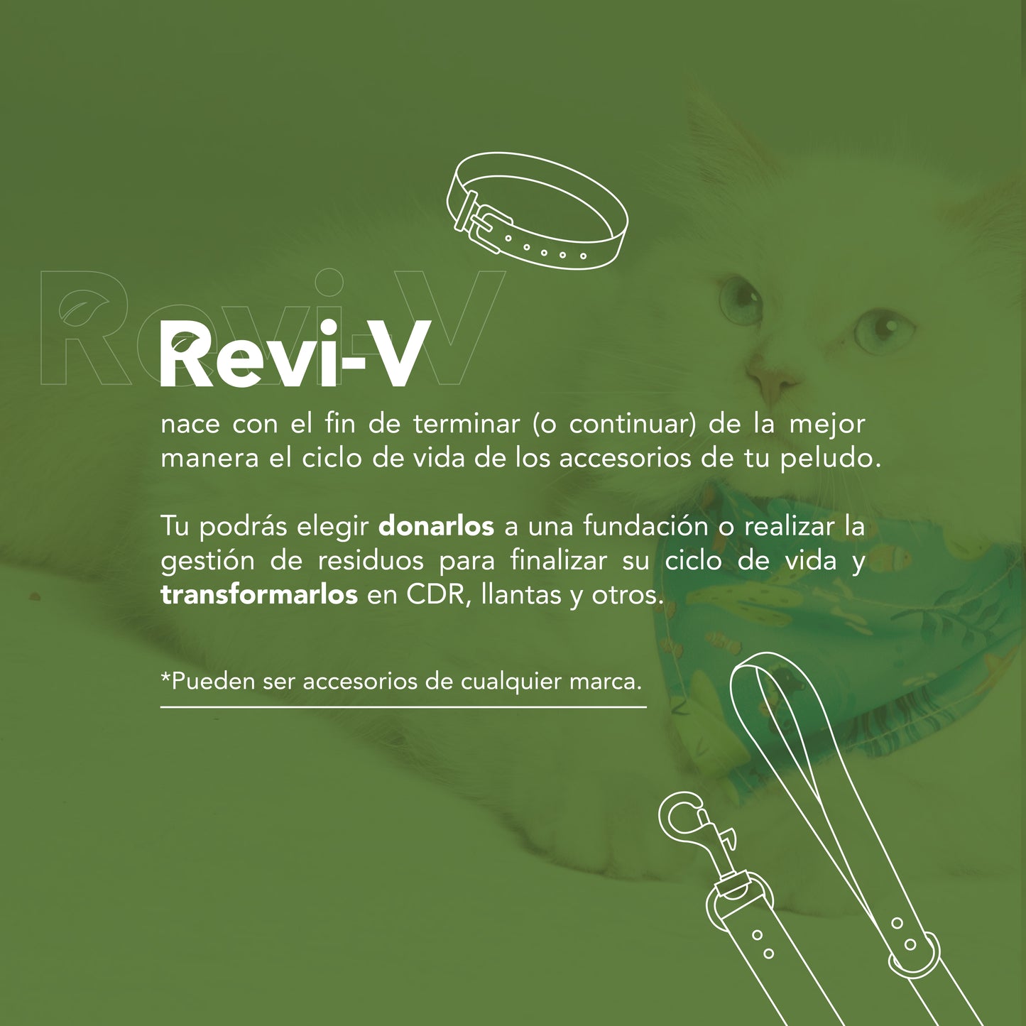 ReviV by Vekopets