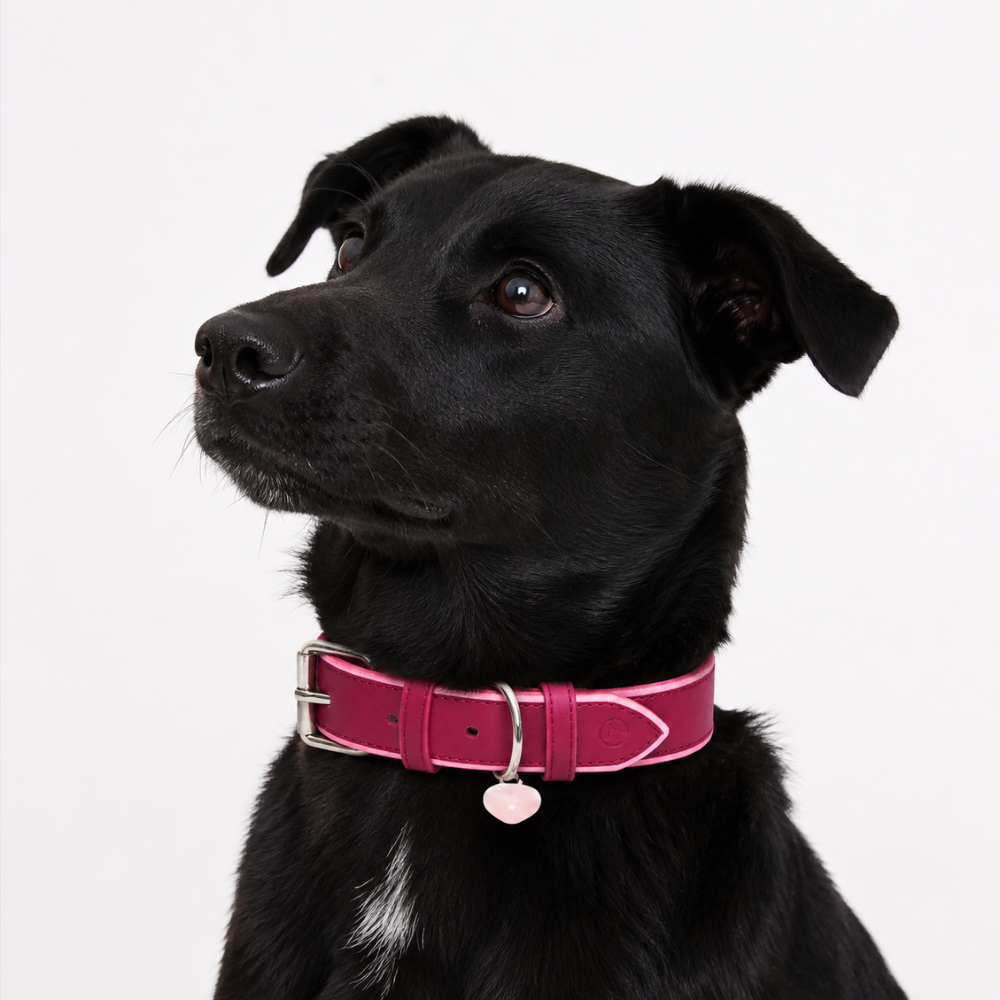 Collar cuero vegano | Velvet Wine