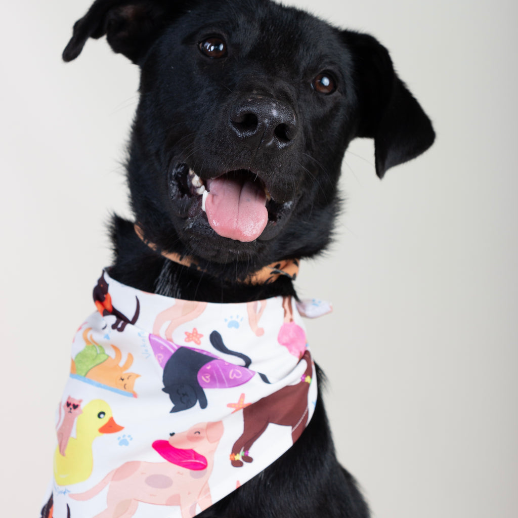 Pañoleta Peluditos Playeros