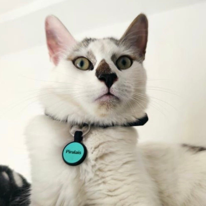 Placa de goma borde negro