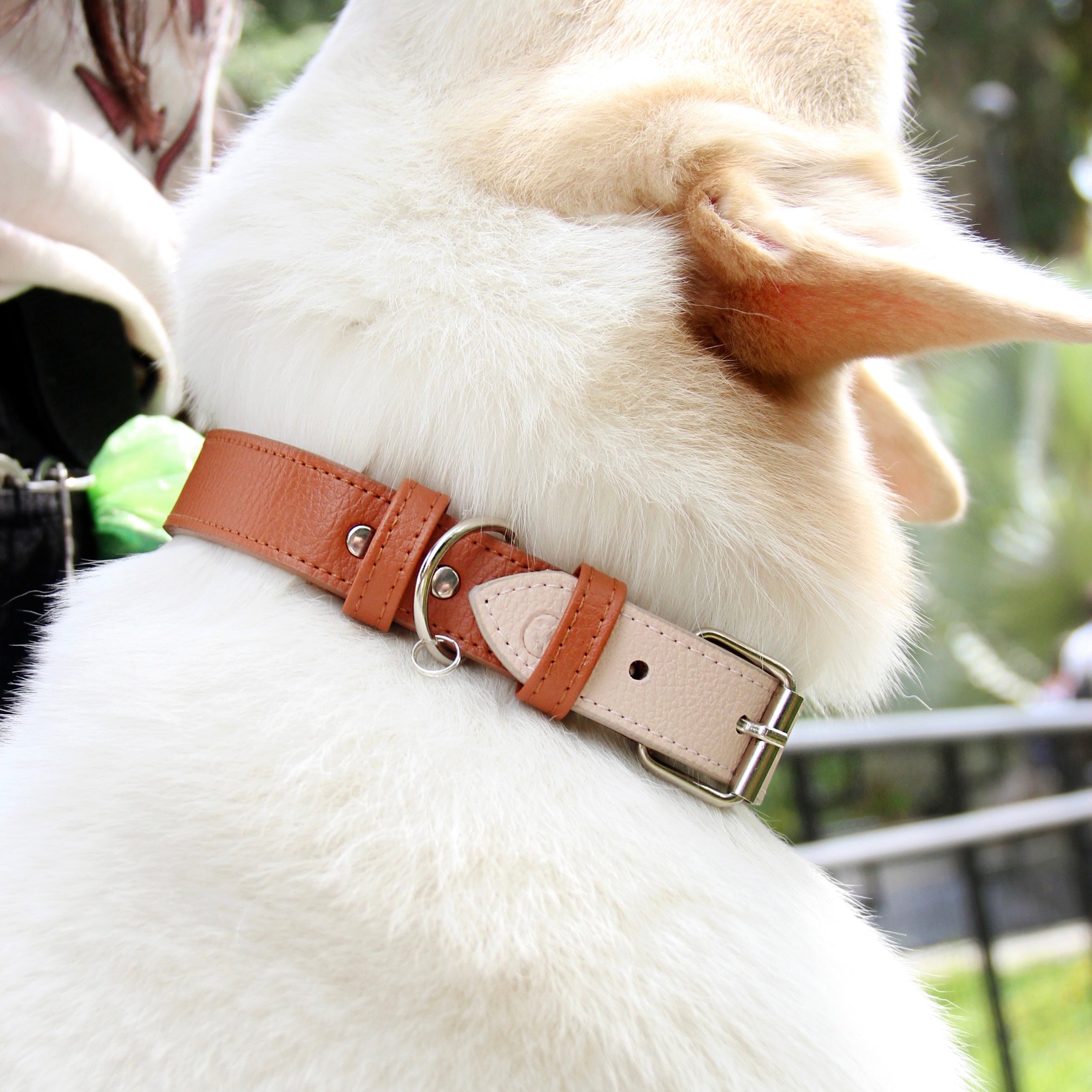 Collar Miel- Nude - Vekopets
