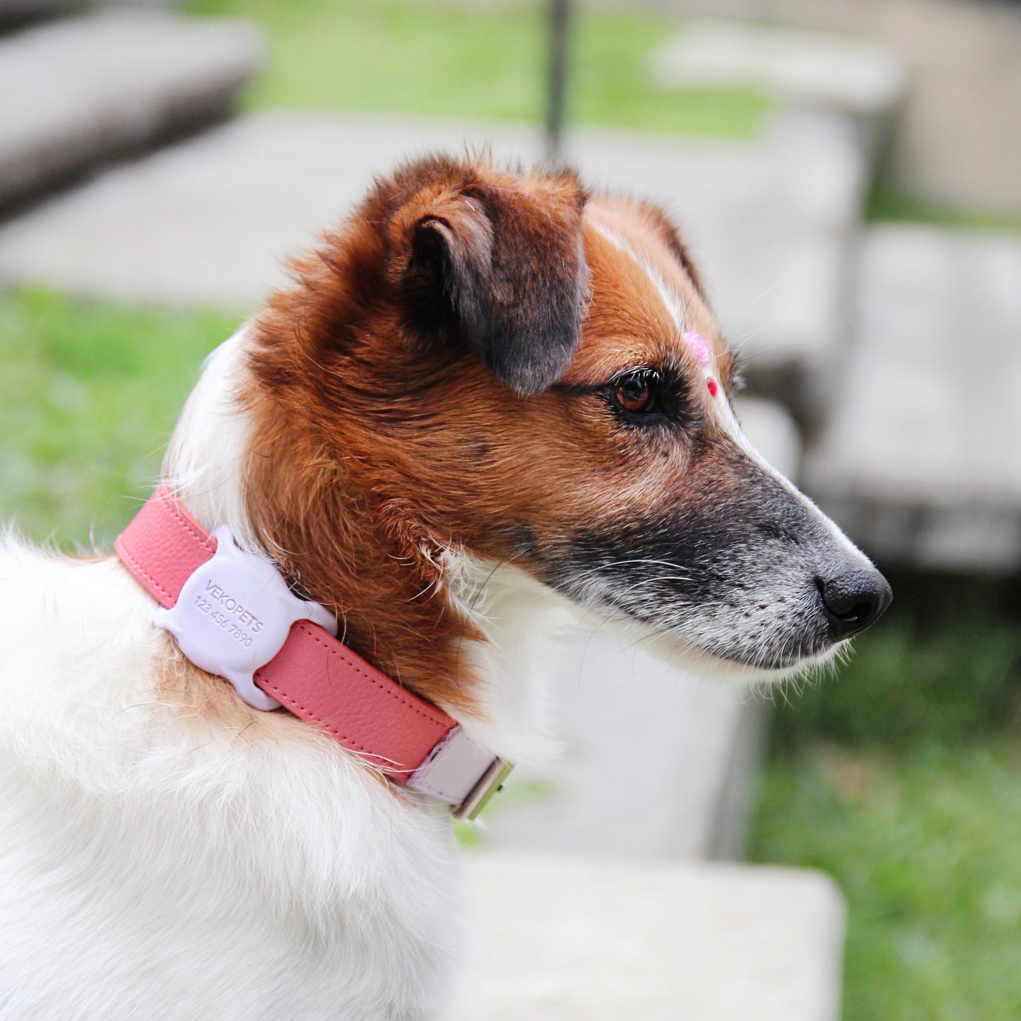 Collar Coral-Lila Claro