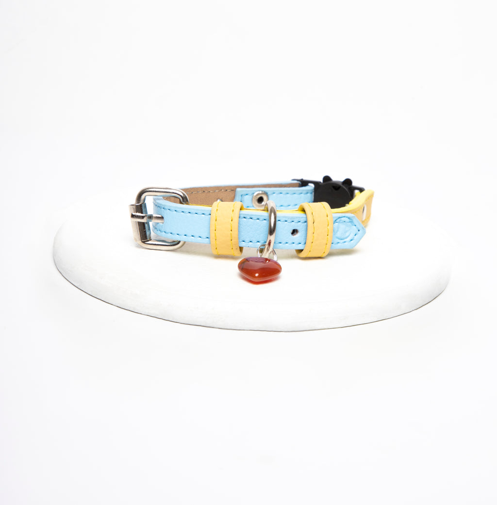 Collar gato Amarillo-Azul