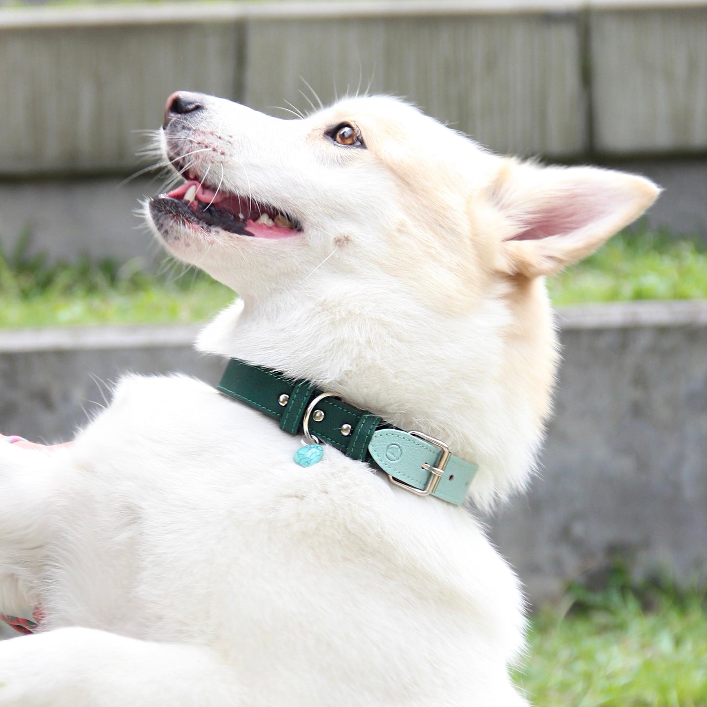 Collar Verde- menta