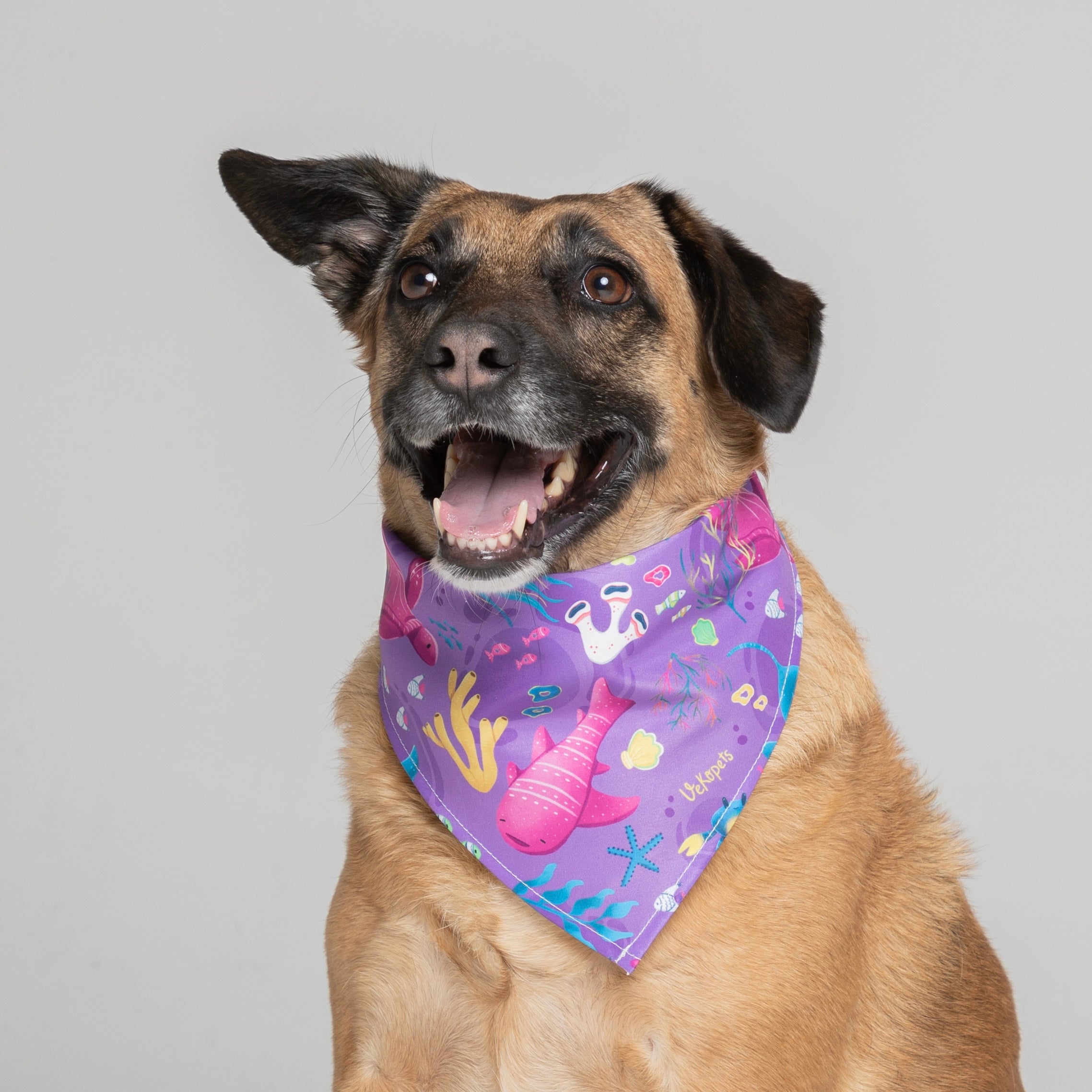 Pañoleta Vida Marina Morada