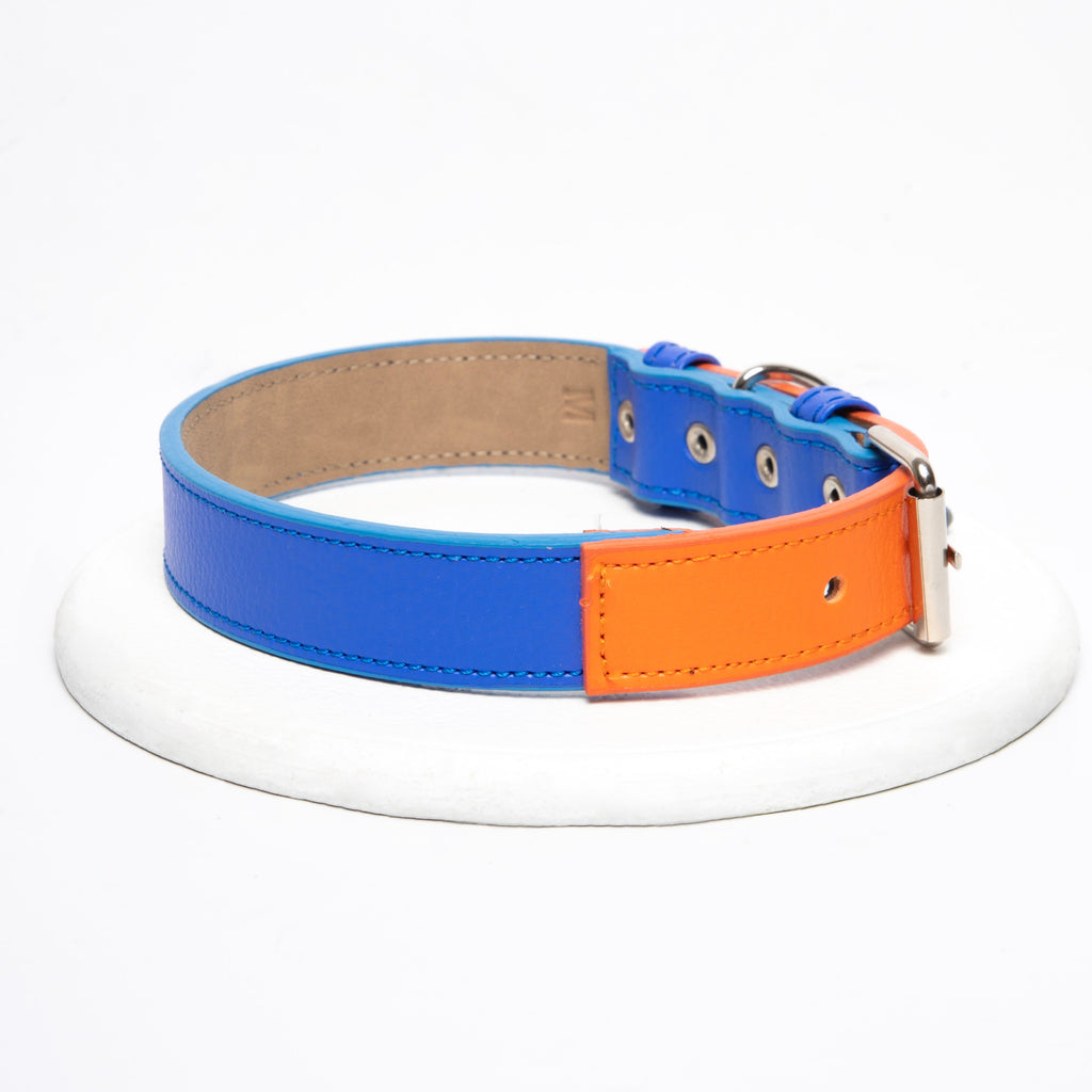 Collar Azul electric- Naranja Vekopets