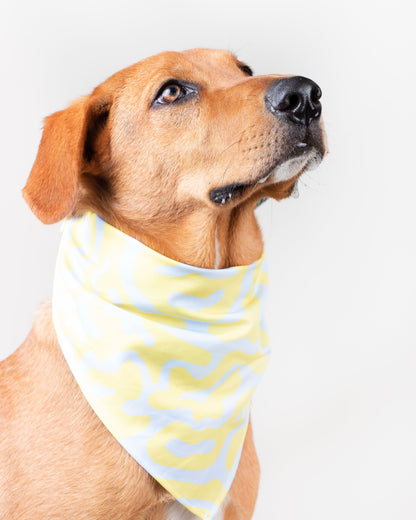 Romeo Vekopets