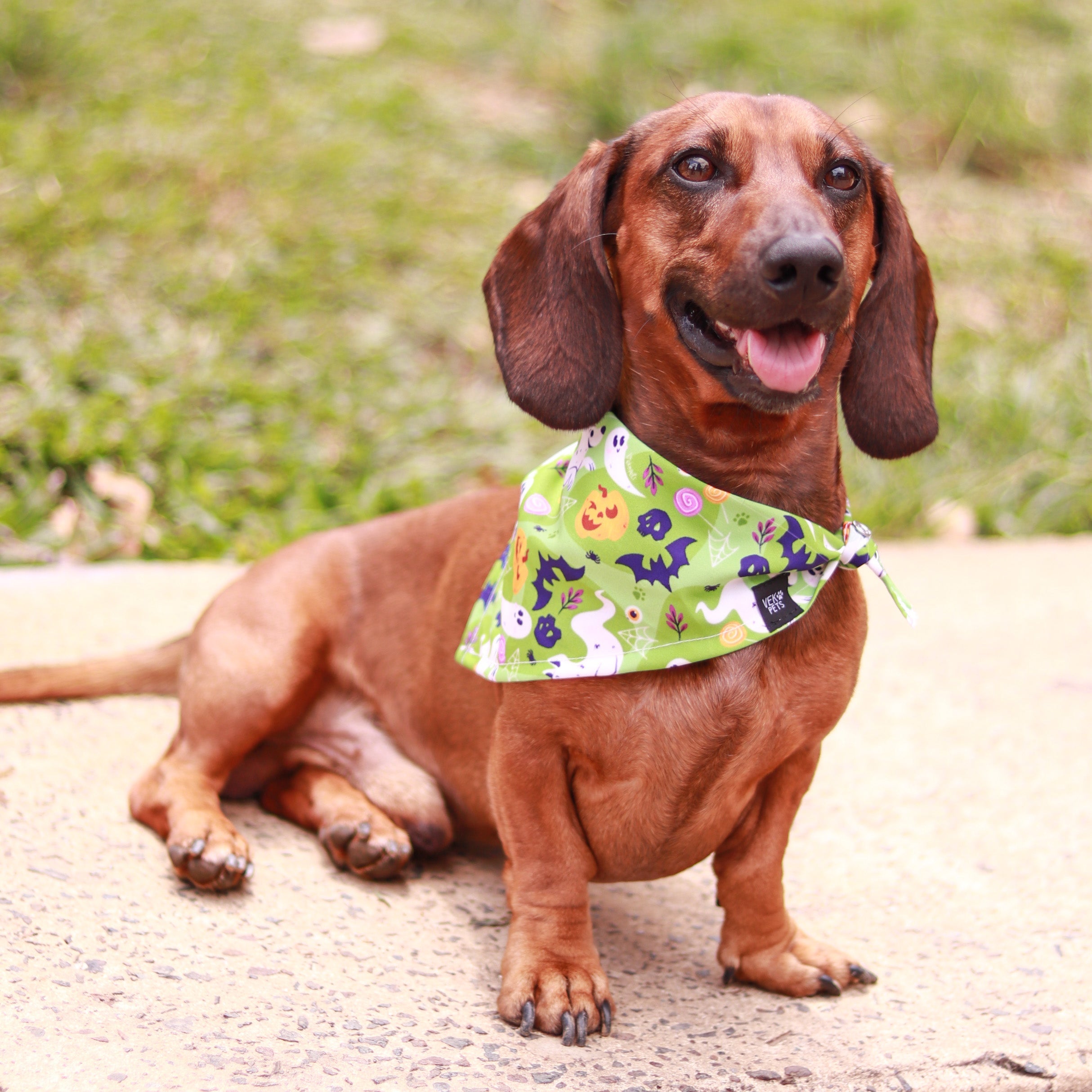 Pañoleta Halloween Verde Vekopets