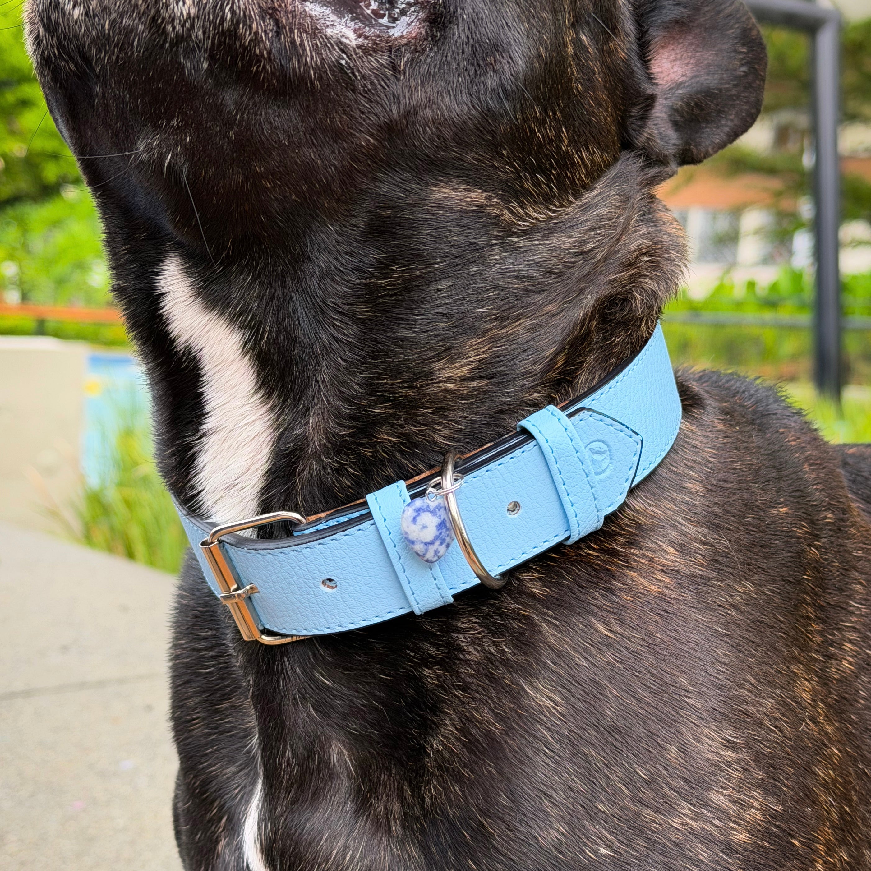 Collar cuero vegano | Sky blue