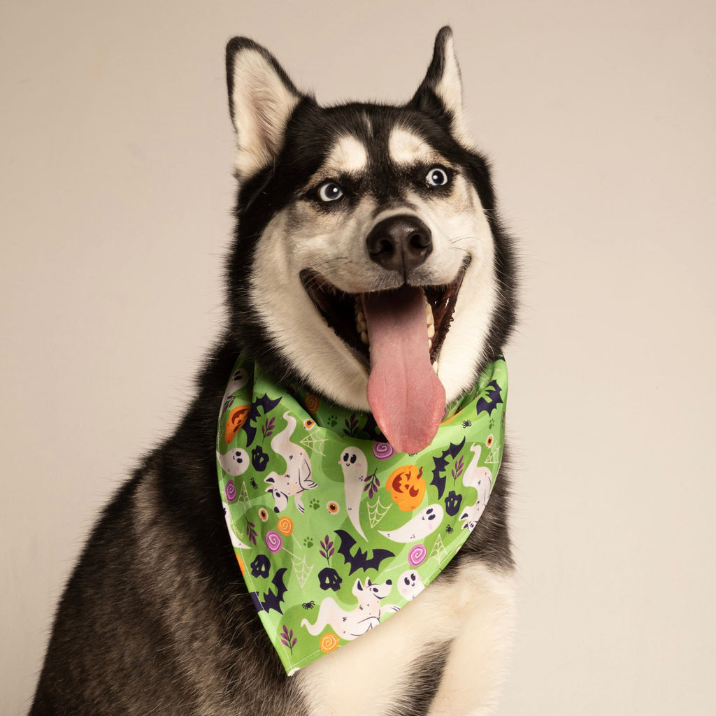 Pañoleta Halloween Verde Vekopets