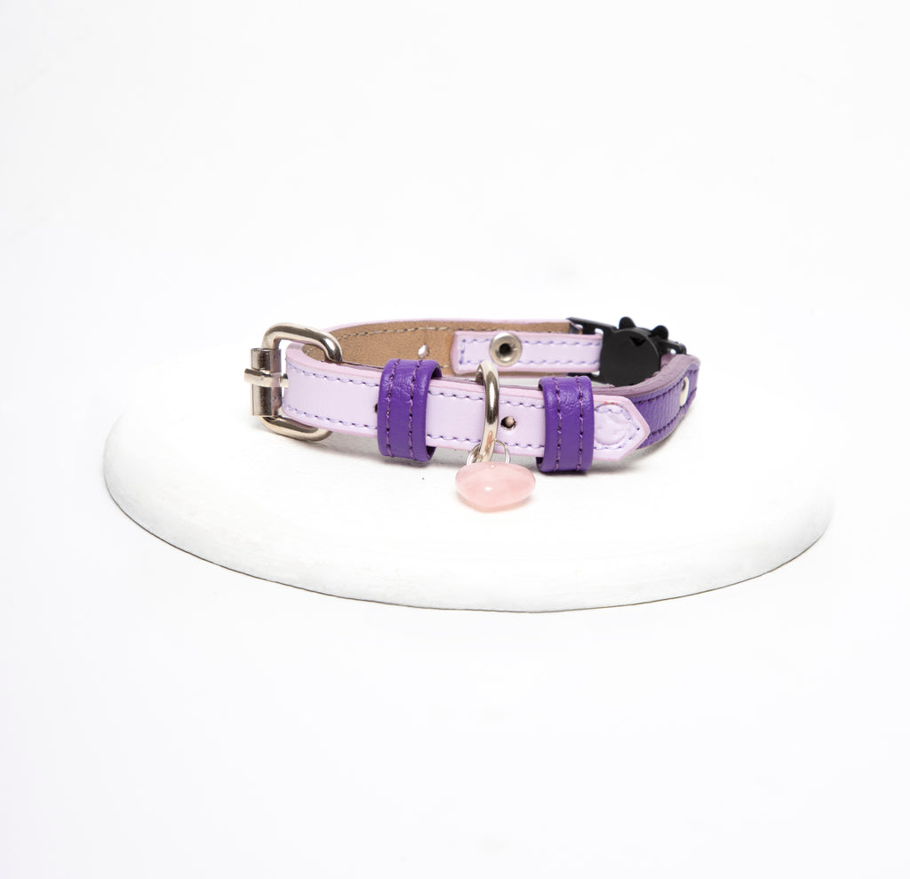Collar gato Morado-Lila
