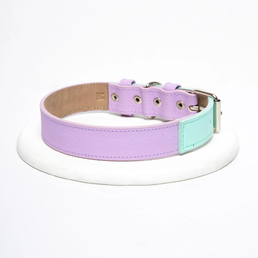 Collar Lila-Menta - Vekopets