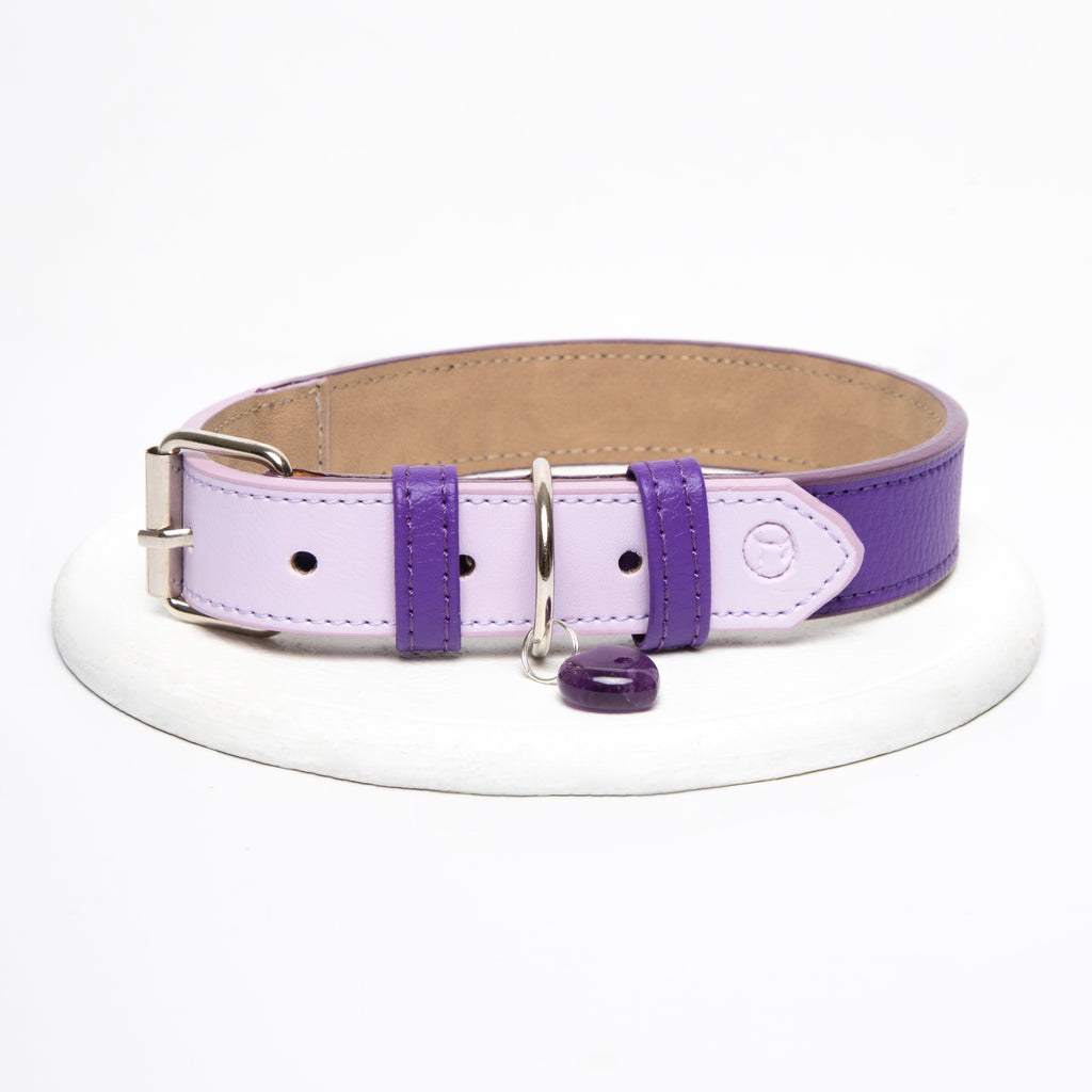 Collar Morado- Lila - Vekopets