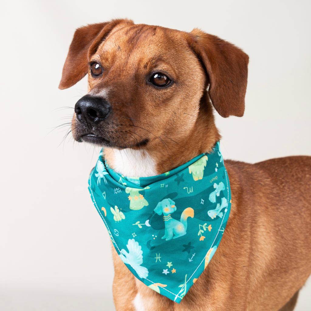 Pañoleta Astral Animals Verde