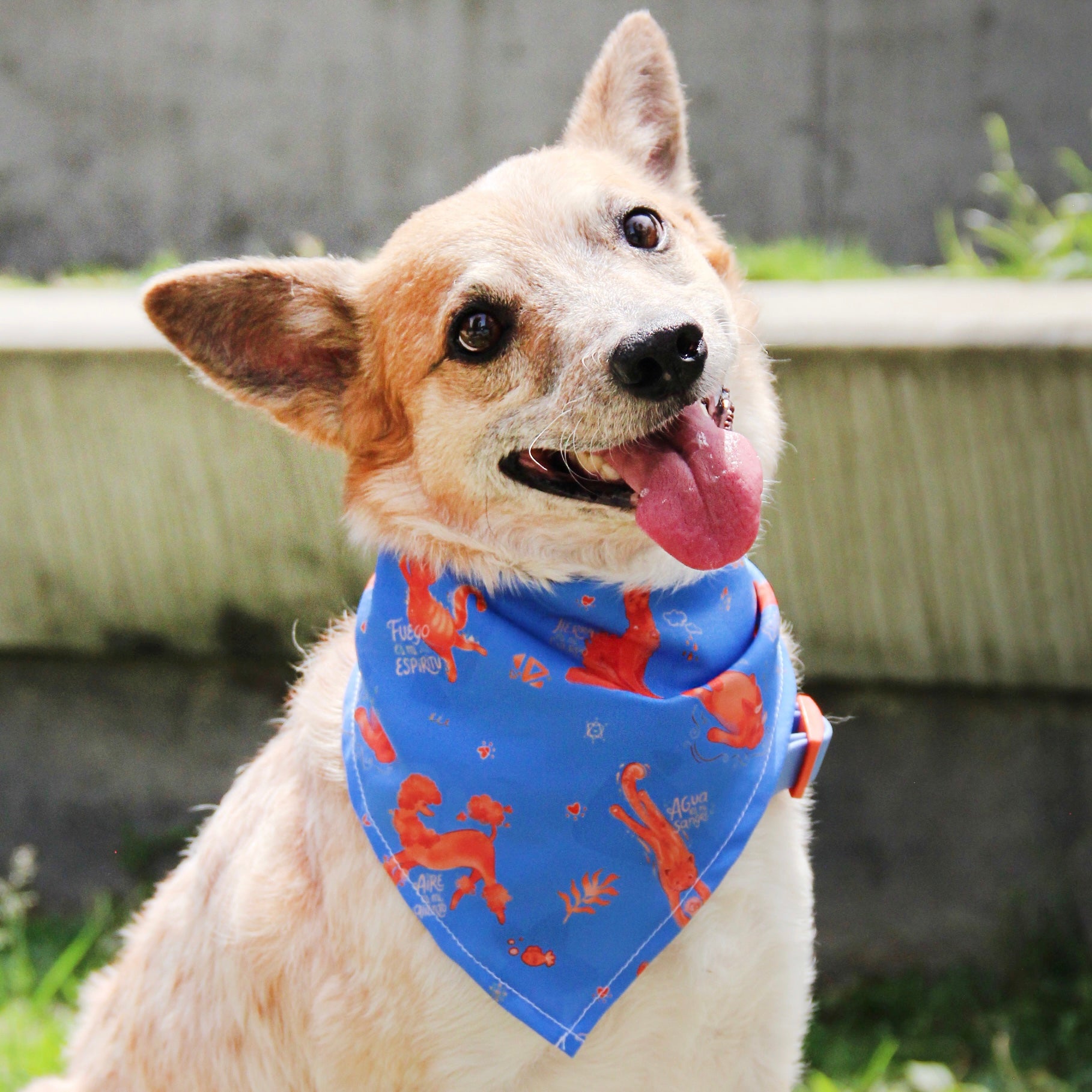 Pañoleta elementos Azul