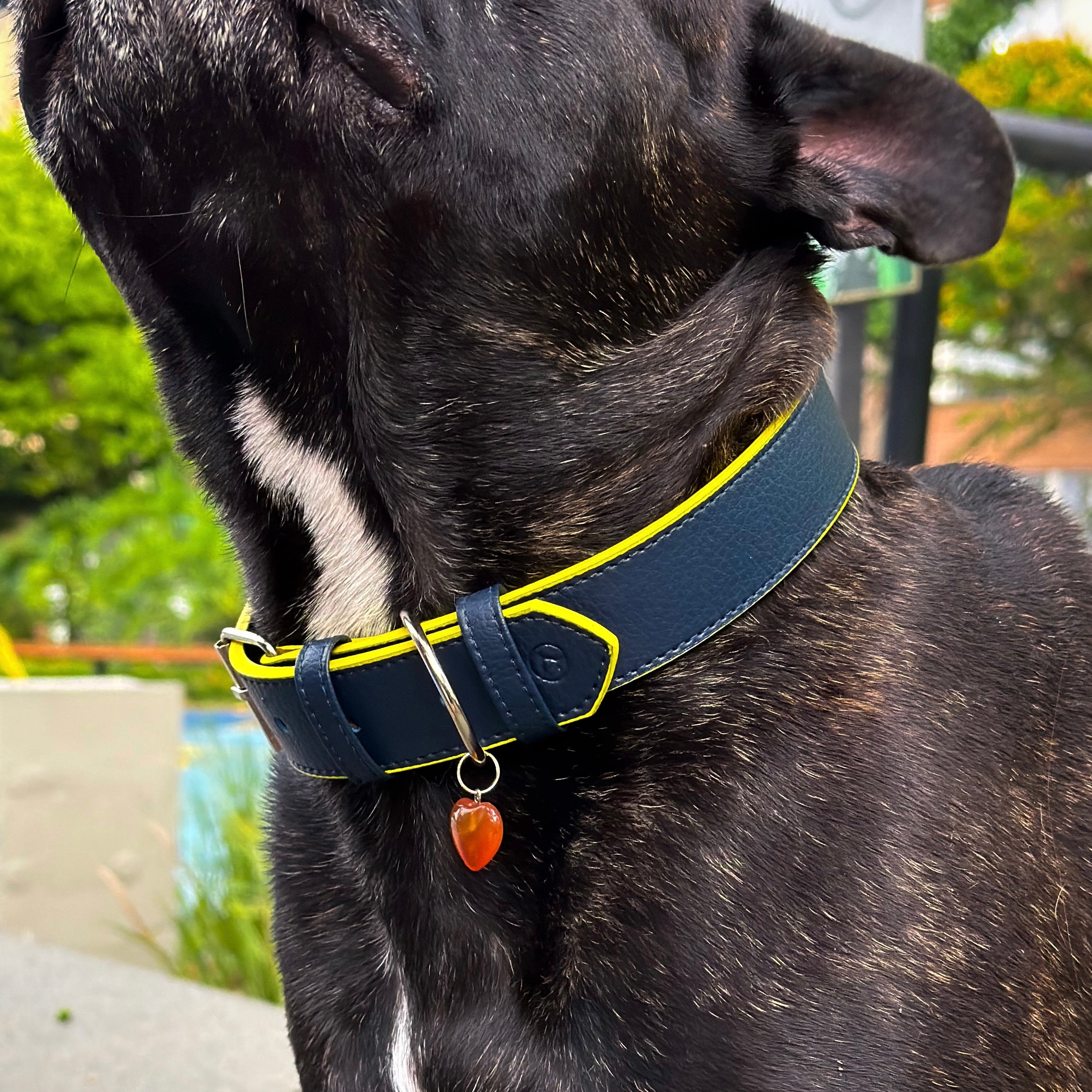 Collar cuero vegano | Navy eclipse