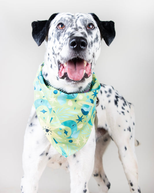 Lucky Vekopets