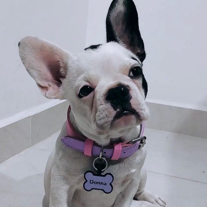 Placa de goma borde negro