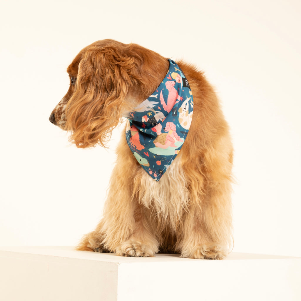 Pañoleta Alma gemela Boy