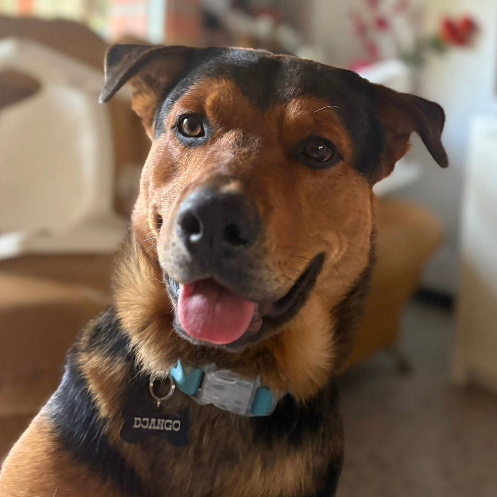 Collar impermeable Aguamarina