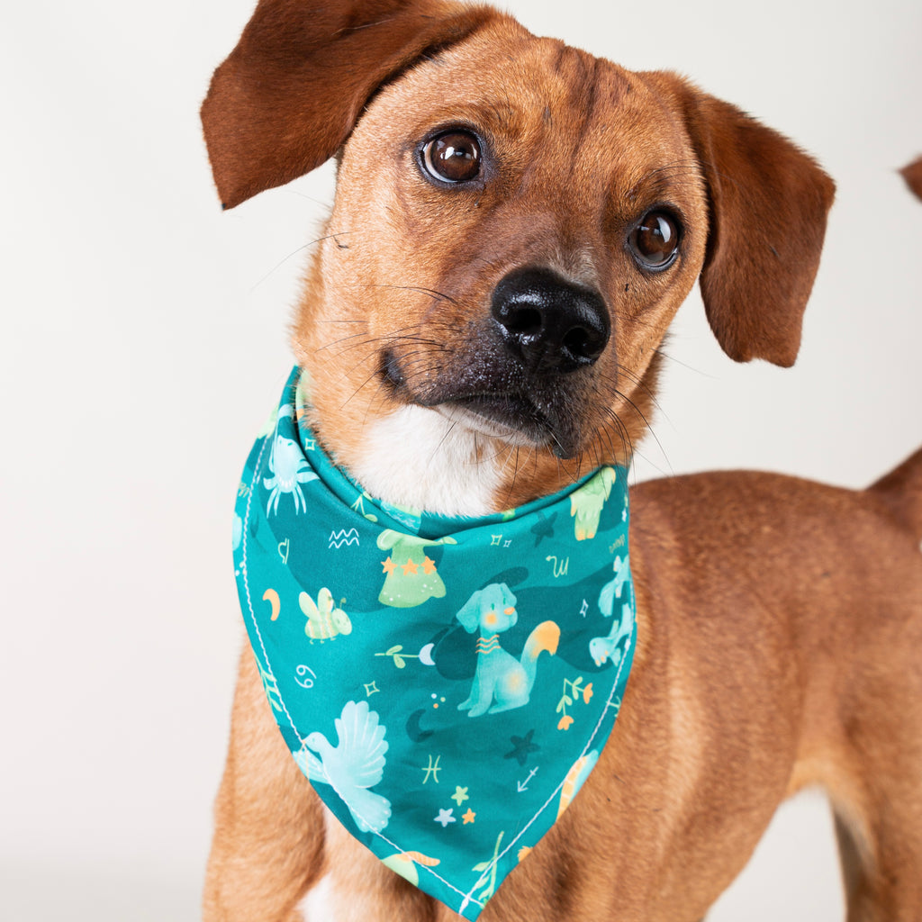 Pañoleta Astral Animals Verde