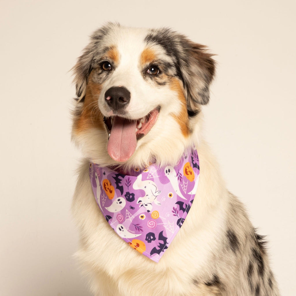 Pañoleta Halloween Lila Vekopets