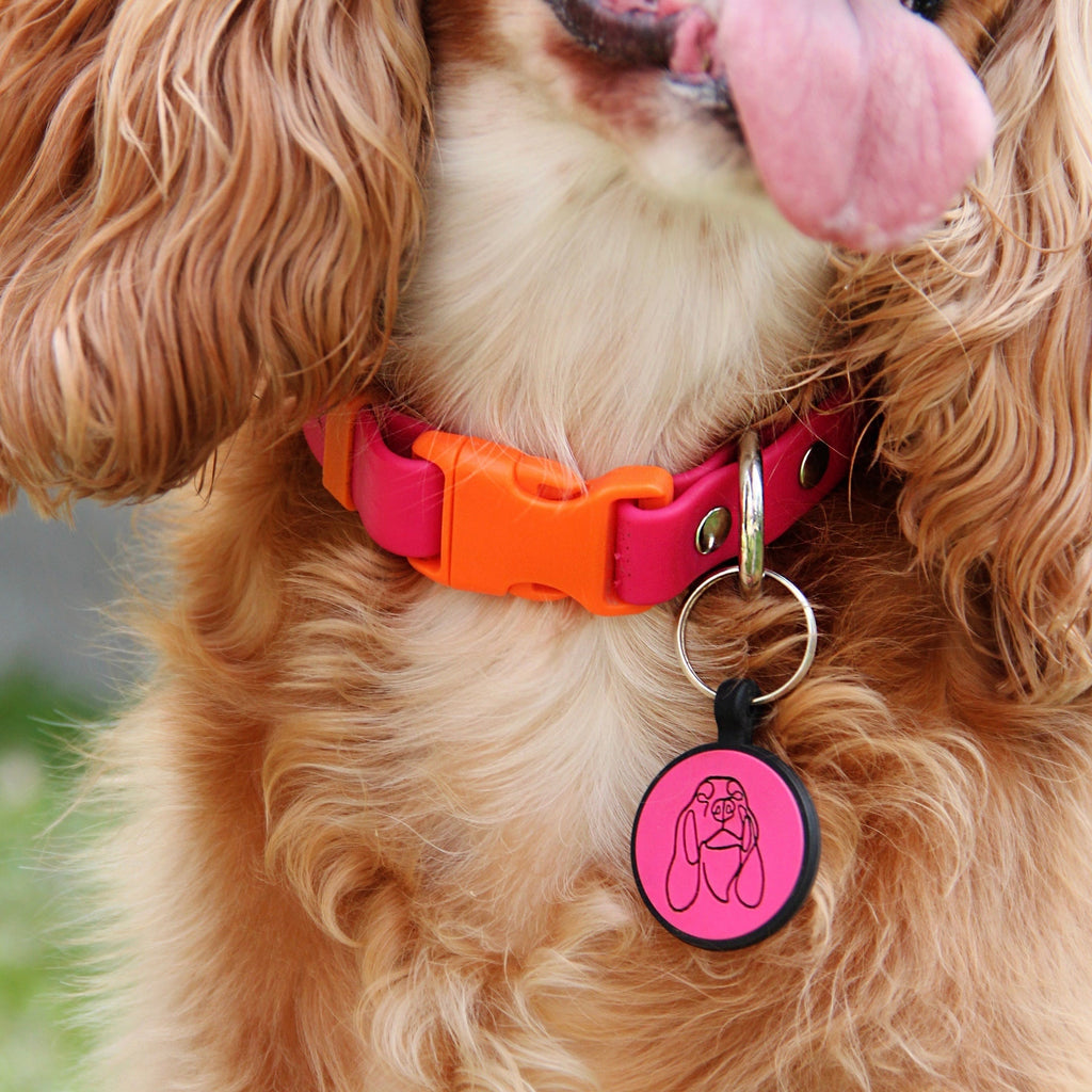 Placa de goma borde negro