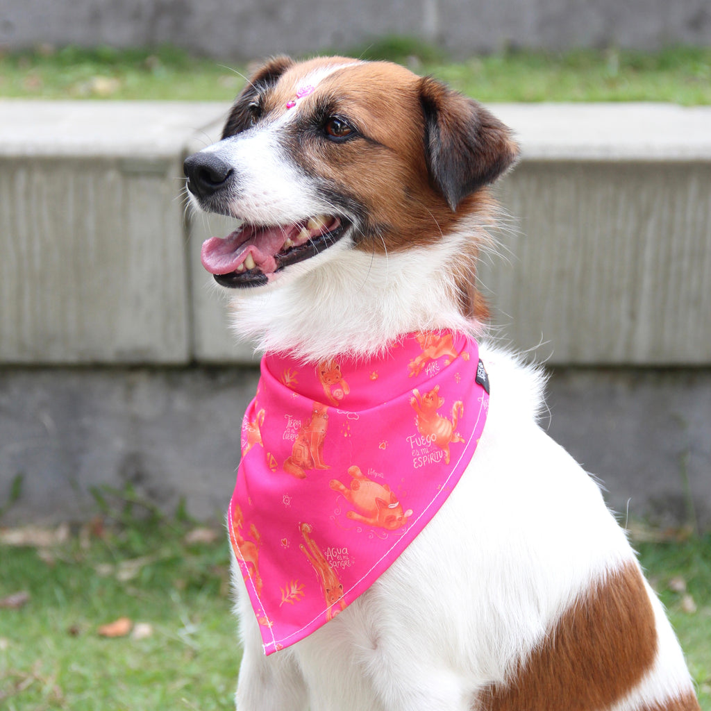 Pañoleta elementos Fucsia