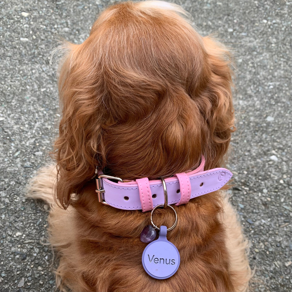 Placa de goma borde color