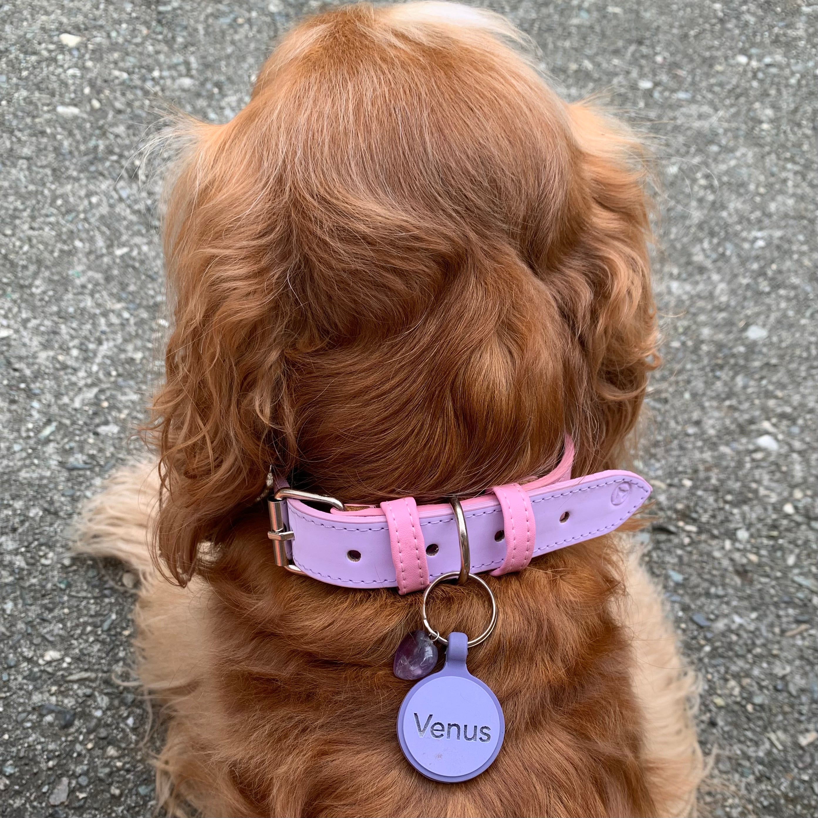 Placa de goma borde color