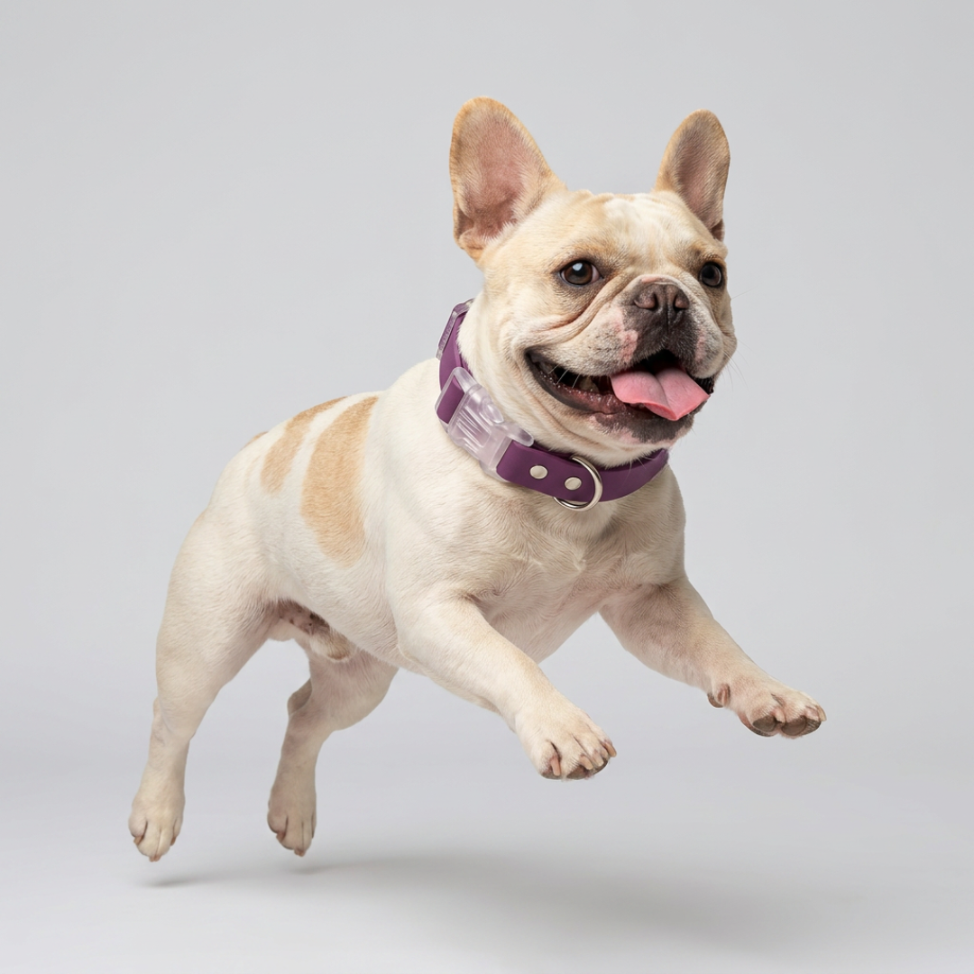 Collar impermeable Uva Vekopets