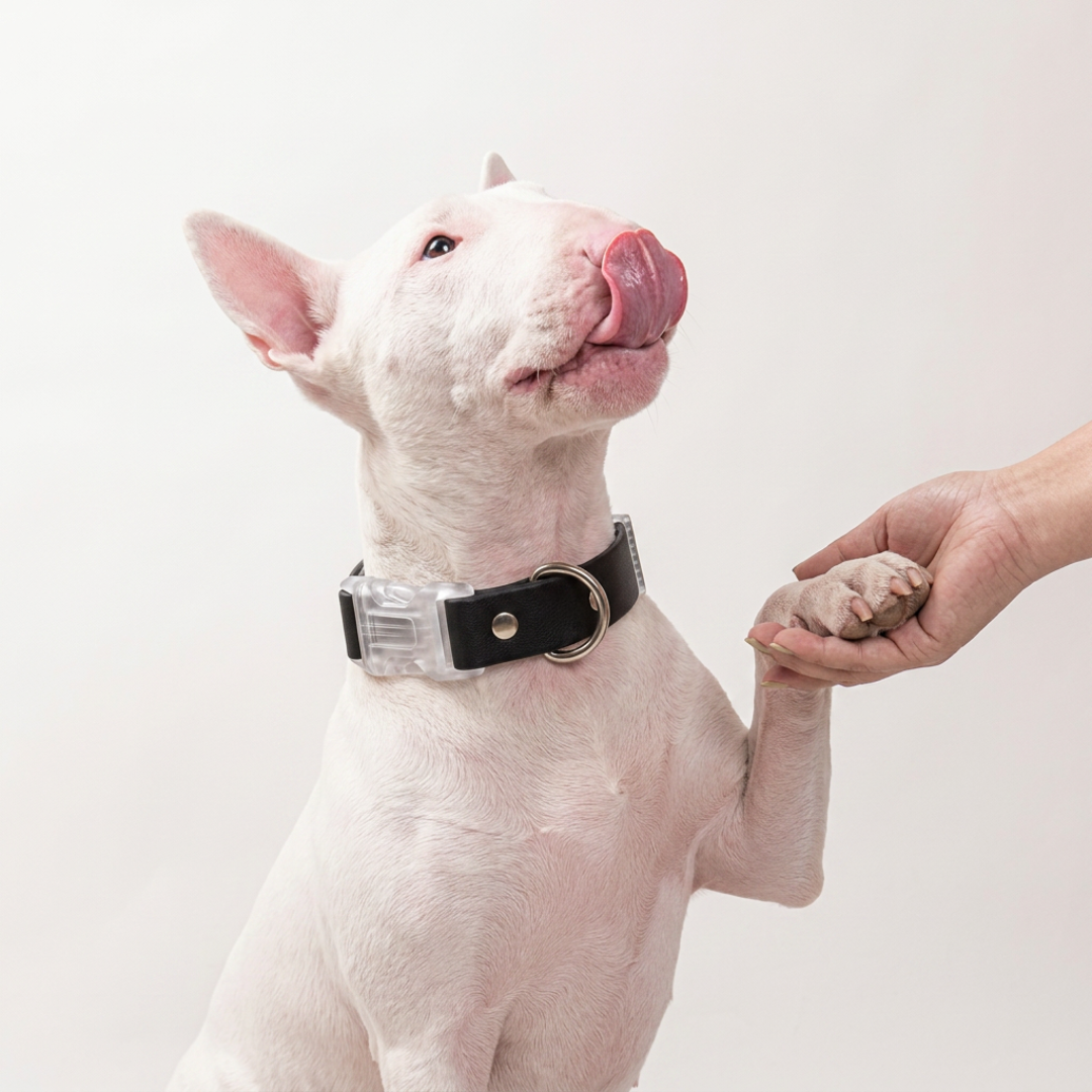 Collar impermeable negro Vekopets