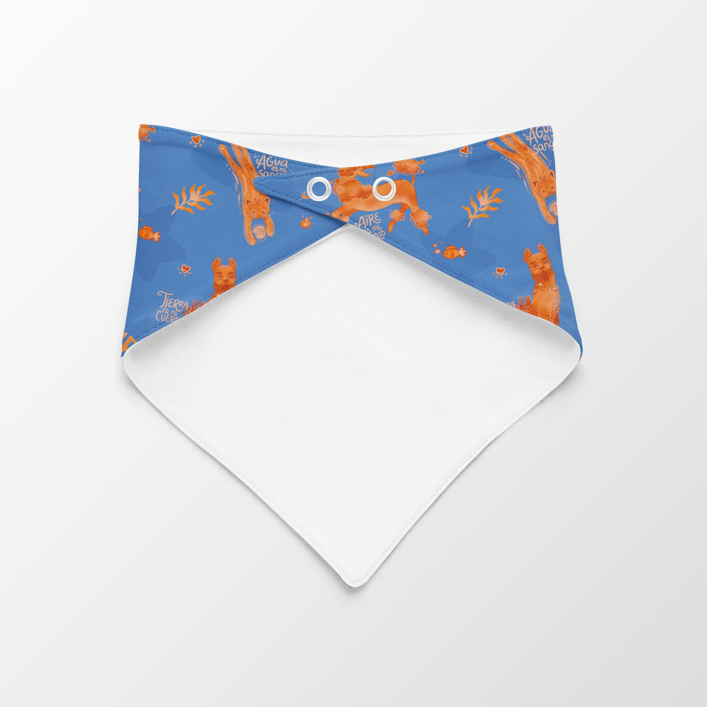 Pañoleta elementos Azul Vekopets