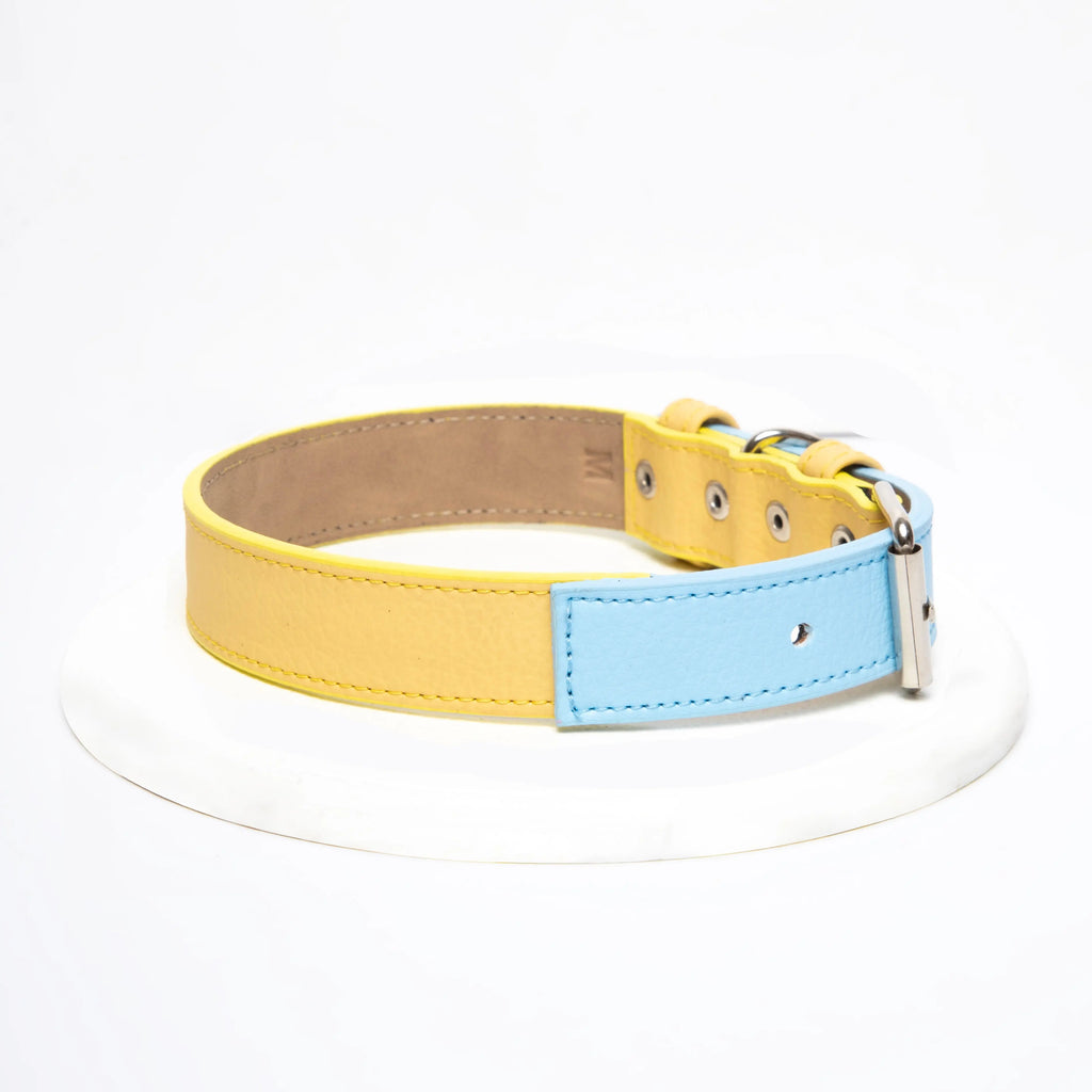 Collar Amarillo - Azul - Vekopets