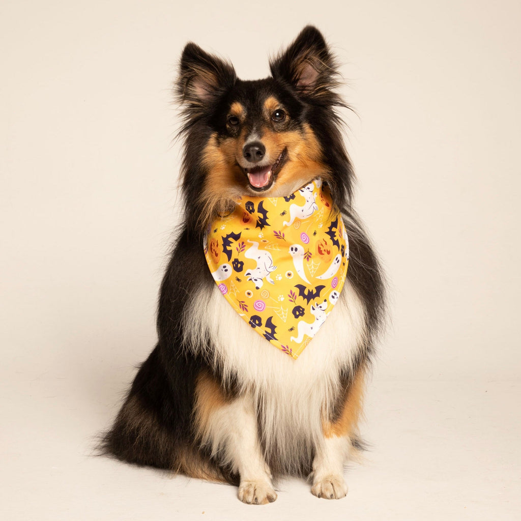 Pañoleta Halloween Amarilla Vekopets