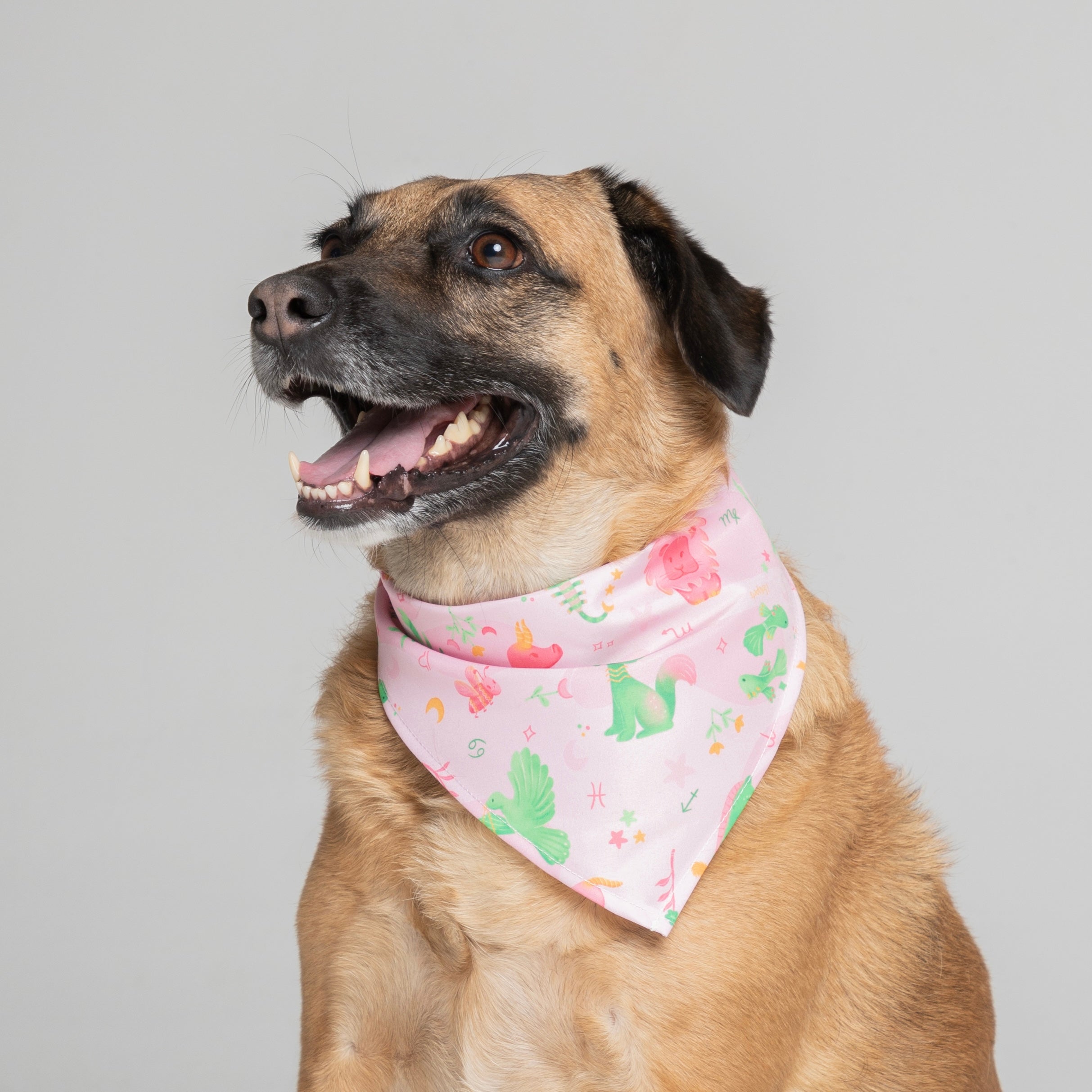 Pañoleta Astral Animals Rosa