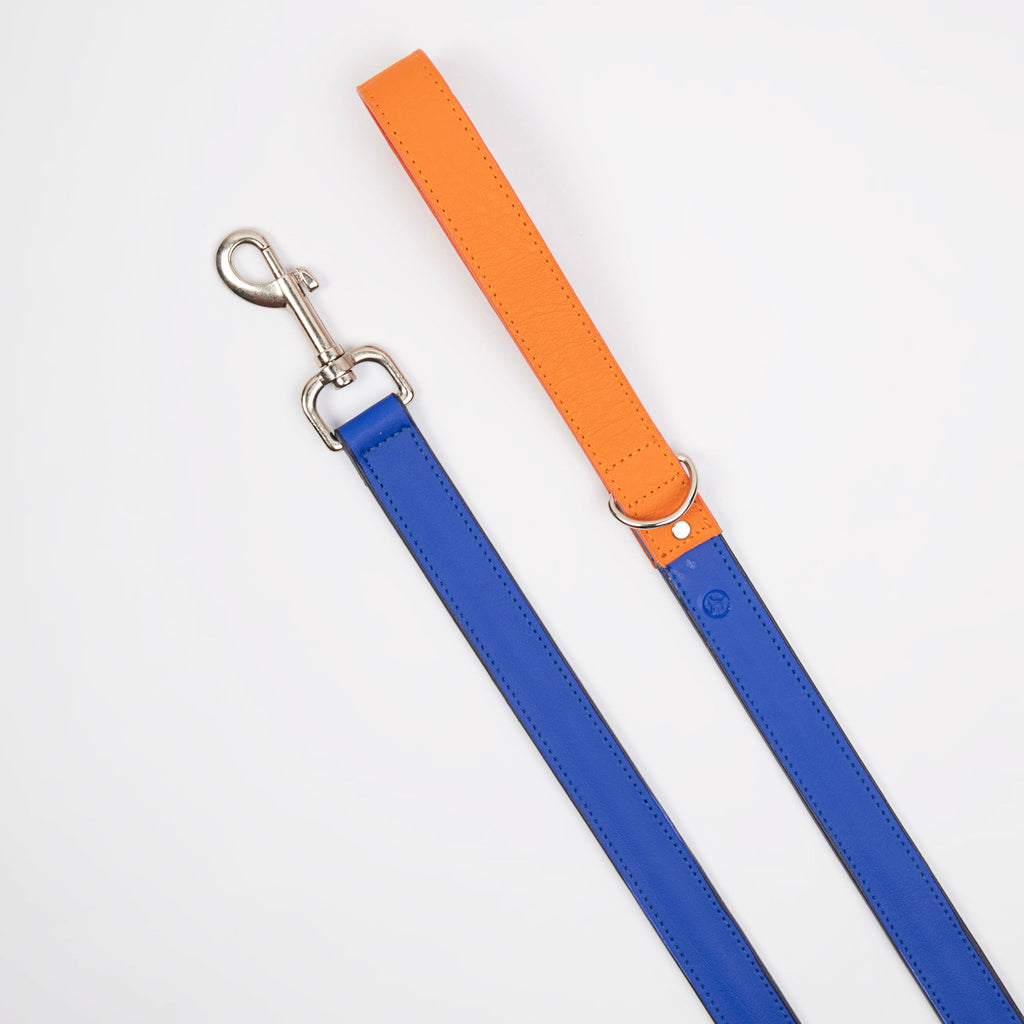 Correa Azul electric- naranja Vekopets