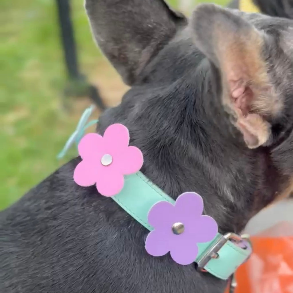 Charm | Flor intercambiable para collar